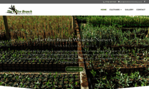 Olivebranchnursery.co.za thumbnail