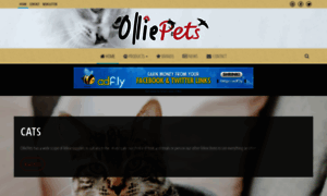 Olliepets.co.uk thumbnail