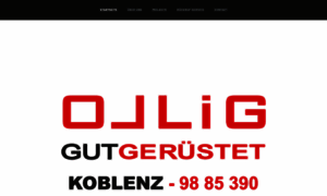 Ollig-team.de thumbnail