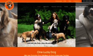 Oneluckydog.ca thumbnail