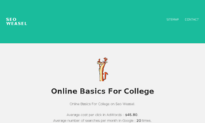 Online-basics-for-college.seoweasel.com thumbnail