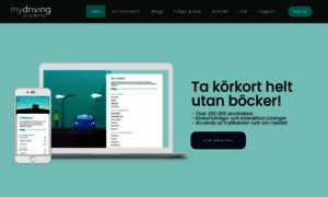 Online.mydrivingacademy.com thumbnail