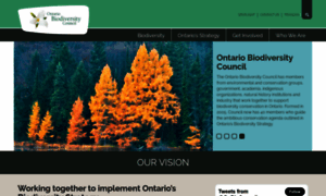 Ontariobiodiversitycouncil.ca thumbnail