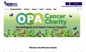 Opa.org.uk thumbnail