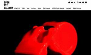 Openeye.org.uk thumbnail