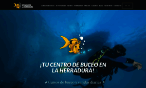 Openwater.es thumbnail