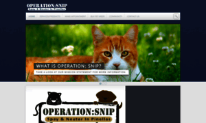 Operationsnipfl.org thumbnail