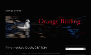 Orangebirding.com thumbnail