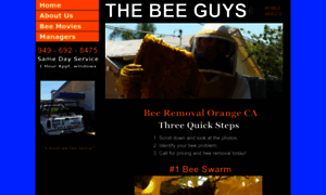 Orangecountybeeguys.com thumbnail