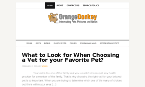 Orangedonkey.net thumbnail