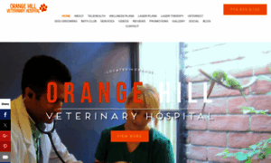 Orangehillvethospital.com thumbnail