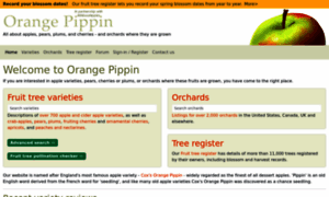 Orangepippin.com thumbnail