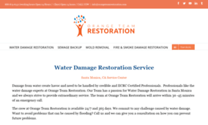 Orangeteamrestoration.com thumbnail