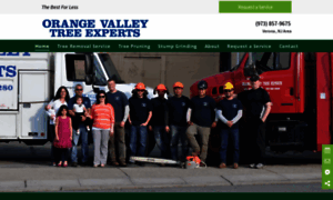 Orangevalleytreeexperts.com thumbnail