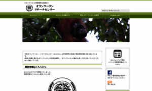 Orangutan-research.jp thumbnail