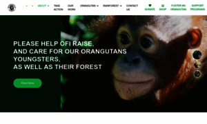 Orangutan.org thumbnail