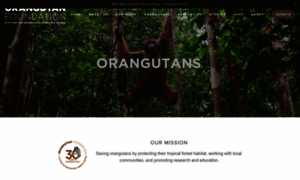Orangutan.org.uk thumbnail