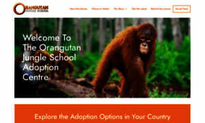 Orangutanjungleschool.com thumbnail