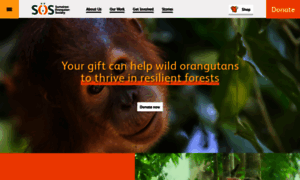 Orangutans-sos.org thumbnail