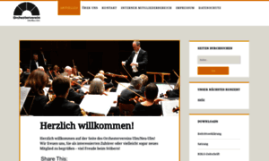 Orchesterverein-ulm-neu-ulm.de thumbnail