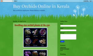 Orchid-kerala.blogspot.in thumbnail