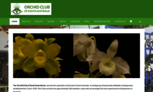 Orchidclubofsouthaustraliainc.com thumbnail