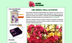 Orchidee-phalaenopsis.eu thumbnail