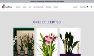 Orchideee.nl thumbnail