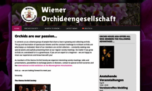 Orchideen-wien.at thumbnail
