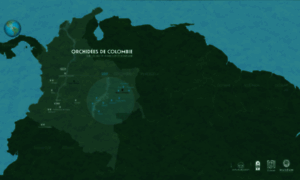 Orchideesdecolombie.mnhn.fr thumbnail