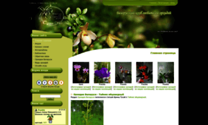 Orchideus.ucoz.net thumbnail