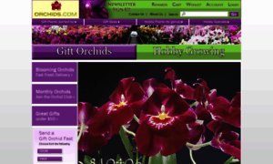 Orchids.com thumbnail