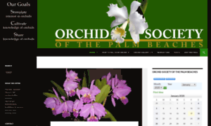 Orchidsocietyofthepalmbeaches.org thumbnail