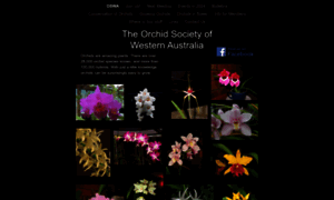 Orchidsocietywa.net.au thumbnail