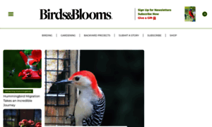 Order.birdsandblooms.com thumbnail