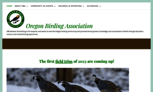 Oregonbirding.org thumbnail