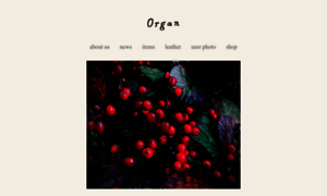 Organ-leather.com thumbnail