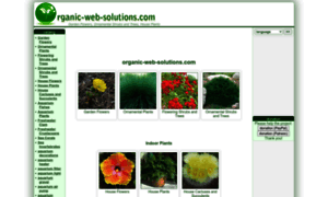 Organic-web-solutions.com thumbnail