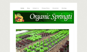 Organicspringtime.com thumbnail