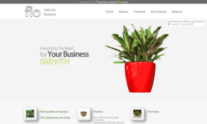 Orhideya-internet-magazin.flo.com.ua thumbnail