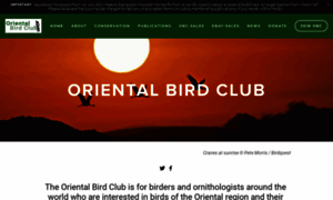 Orientalbirdclub.org thumbnail