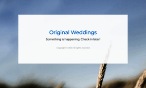 Originalweddings.nl thumbnail