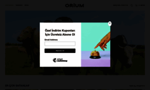 Orium.com.tr thumbnail