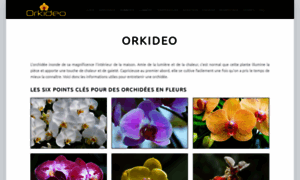 Orkideo.com thumbnail