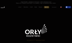 Orlyrozrywki.pl thumbnail