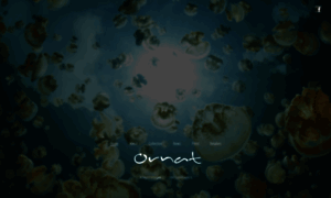 Ornat.dk thumbnail