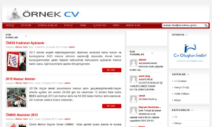 Ornek-cv.com thumbnail