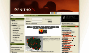 Ornitho.pl thumbnail