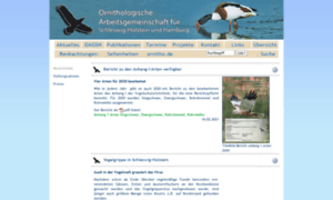 Ornithologie-schleswig-holstein.de thumbnail