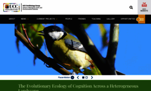 Ornithology.ucc.ie thumbnail